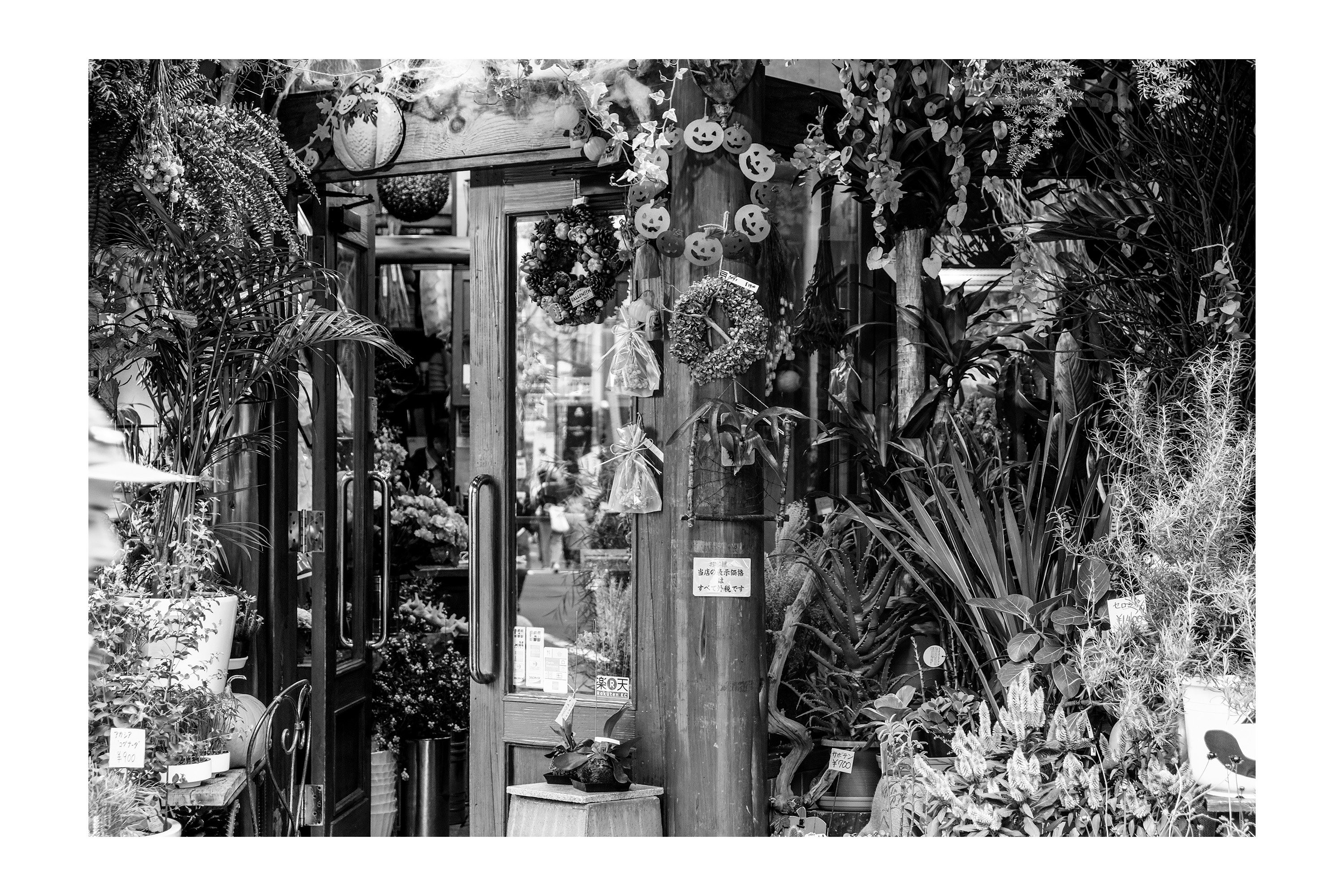 a flower shop during halloween
